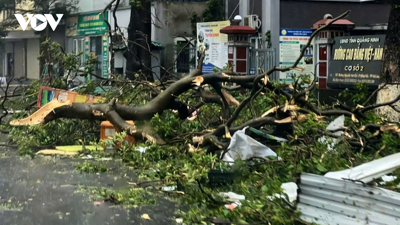 Typhoon Yagi causes estimated loss of nearly US$3.3 billion to Vietnam